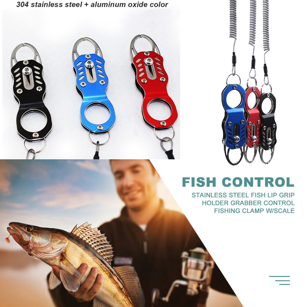 fish clamp holder